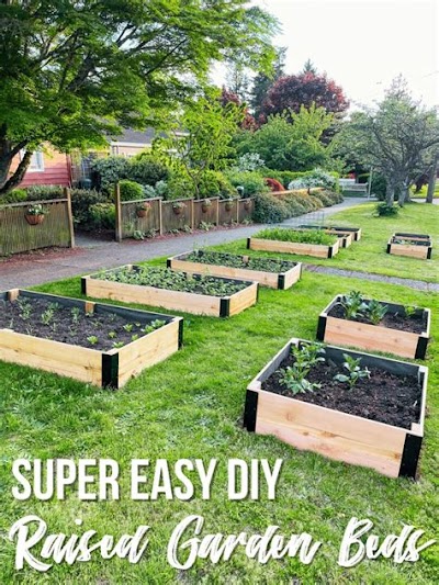Inexpensive Raised Garden Beds