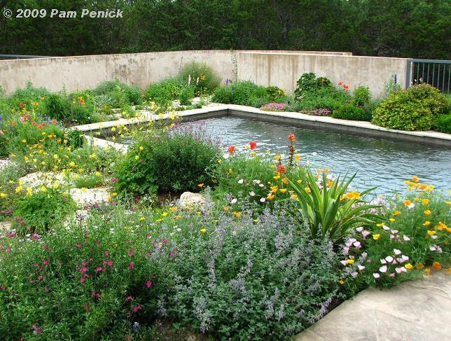 Jenny's flower-licious walled garden | Digging