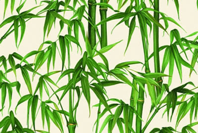 bambus malen