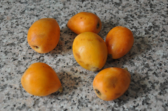 loquat (1)