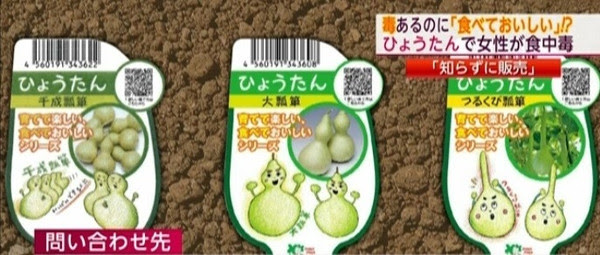 ヒョウタンとユウガオの果実を食べる際にはご注意を プロフ ユキのブログ