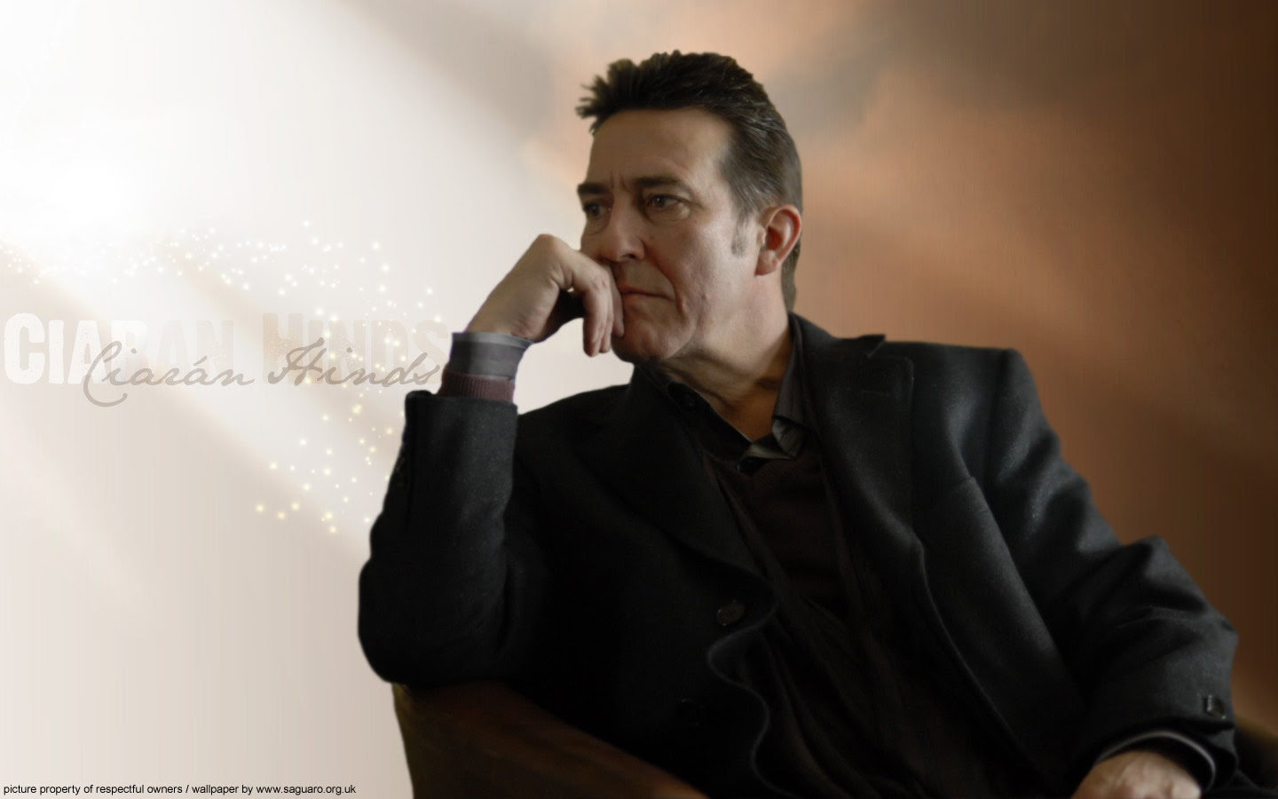 http://albusyharry.files.wordpress.com/2008/11/ciaranhinds_02.jpg