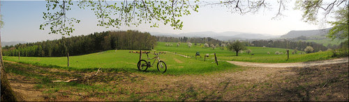sichtern