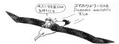 だじゃれ鳥図鑑
