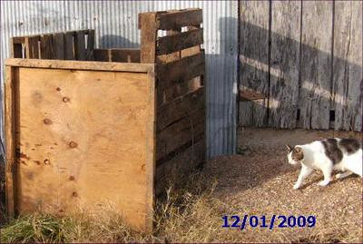 2nd view of the compost bin, plus 1 of our cats - Moon