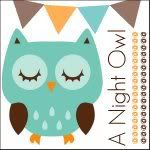 A Night Owl Blog