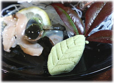 さざえ 栄螺のお造り さざえのおろし方 捌き方 その１ 魚料理と簡単レシピ