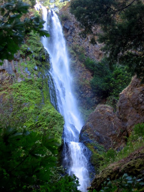Starvation Creek