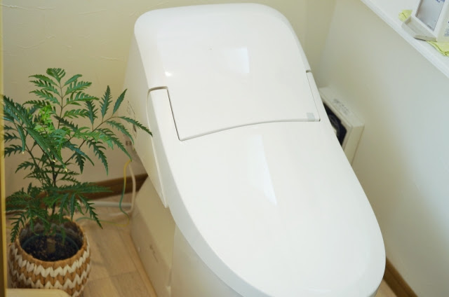 置いて良いものと悪いもの 風水で見るトイレのインテリア
