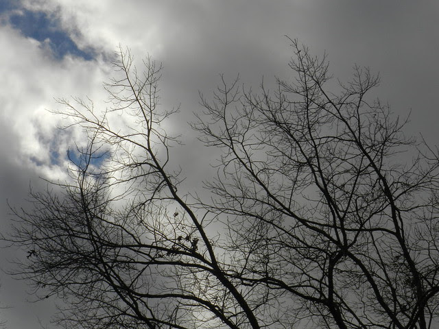 skywtrDSCN2439
