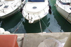 DSCF6819