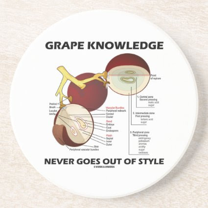 Grape Knowledge Never Goes Out Of Style Beverage Coaster
