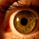 Uso de biometria como senha é uma das previsões da IBM (Foto: sxc.hu)