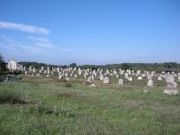 Free Image Hosting at www.ImageShack.us