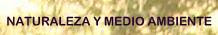 TITULO