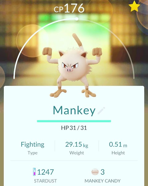 CanalNossoWorkÉPlayar pokemon pokemongo