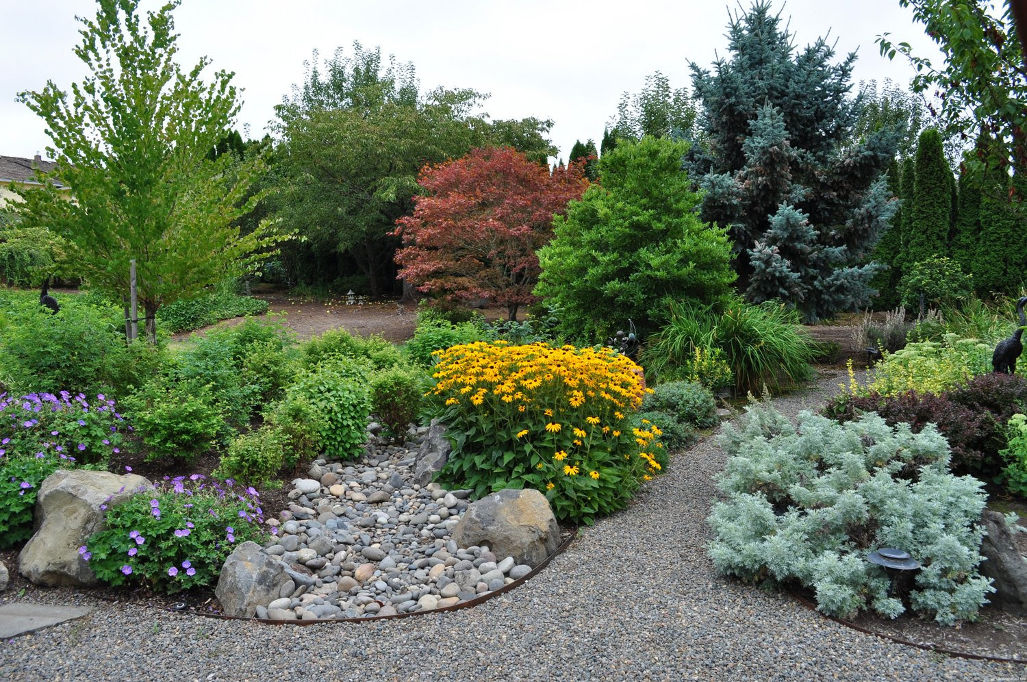 Portland Landscaping: Soggy Lawns