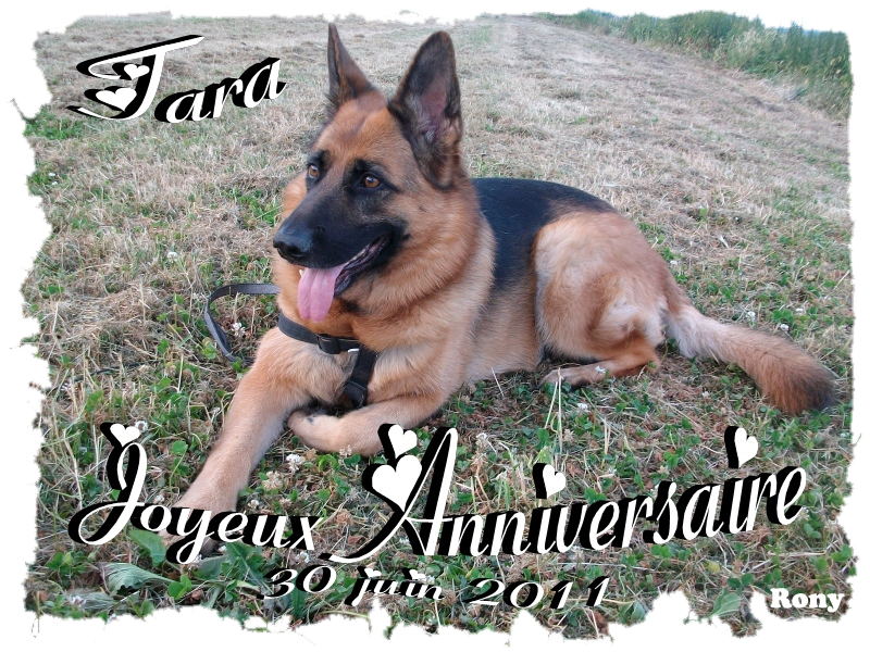 4 Ans Joyeux Anniversaire Ma Tara Tara Rony