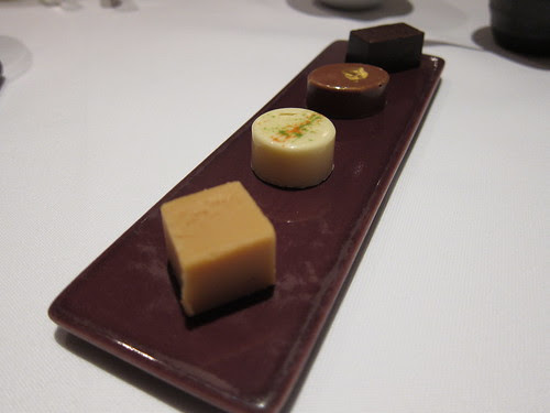 Hibiscus, Mayfair