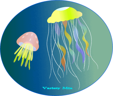 バラエティーミックス絵日記 イラスト 水族館 クラゲ メイキング