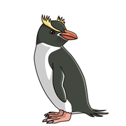 ペンギンの種類 ペンギン大学