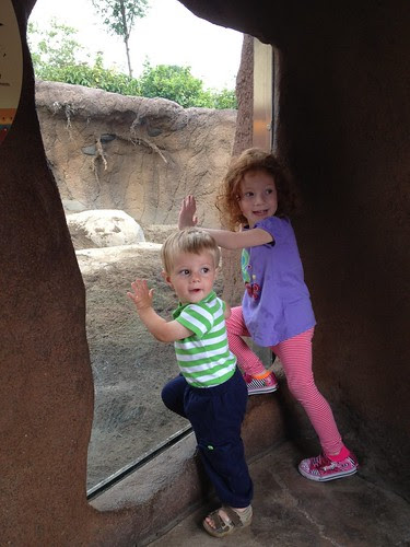 Animal watching at the Cleve Zoo! @clemetzoo #zoo #happyincle