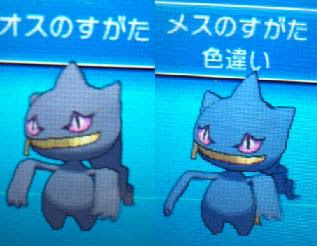色違いに釘付け ジュペッタ Xy