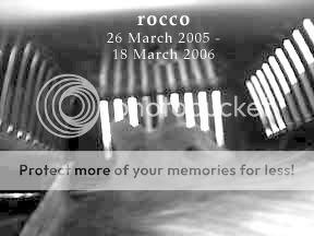 Image hosting by Photobucket