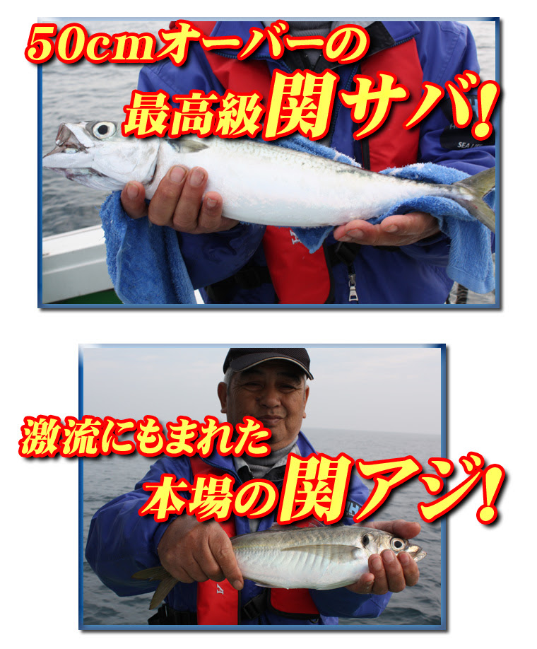 関アジ 関サバを釣るなら 釣り船上丸 大分 別府 観光 遊漁船