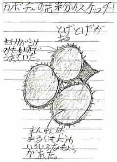 花から実へ３ カボチャの花粉を見てみよう