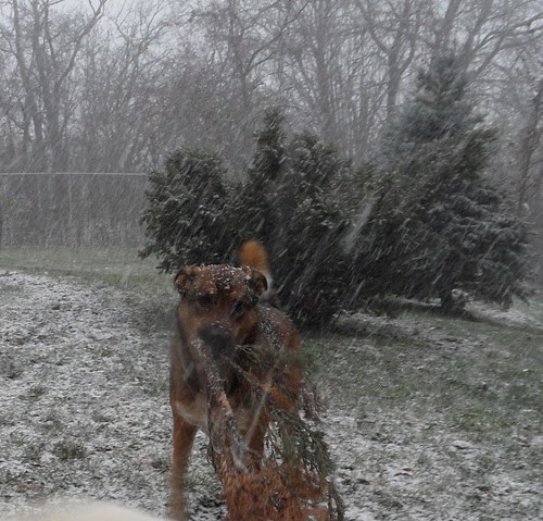 first snowfall for 10 minutes