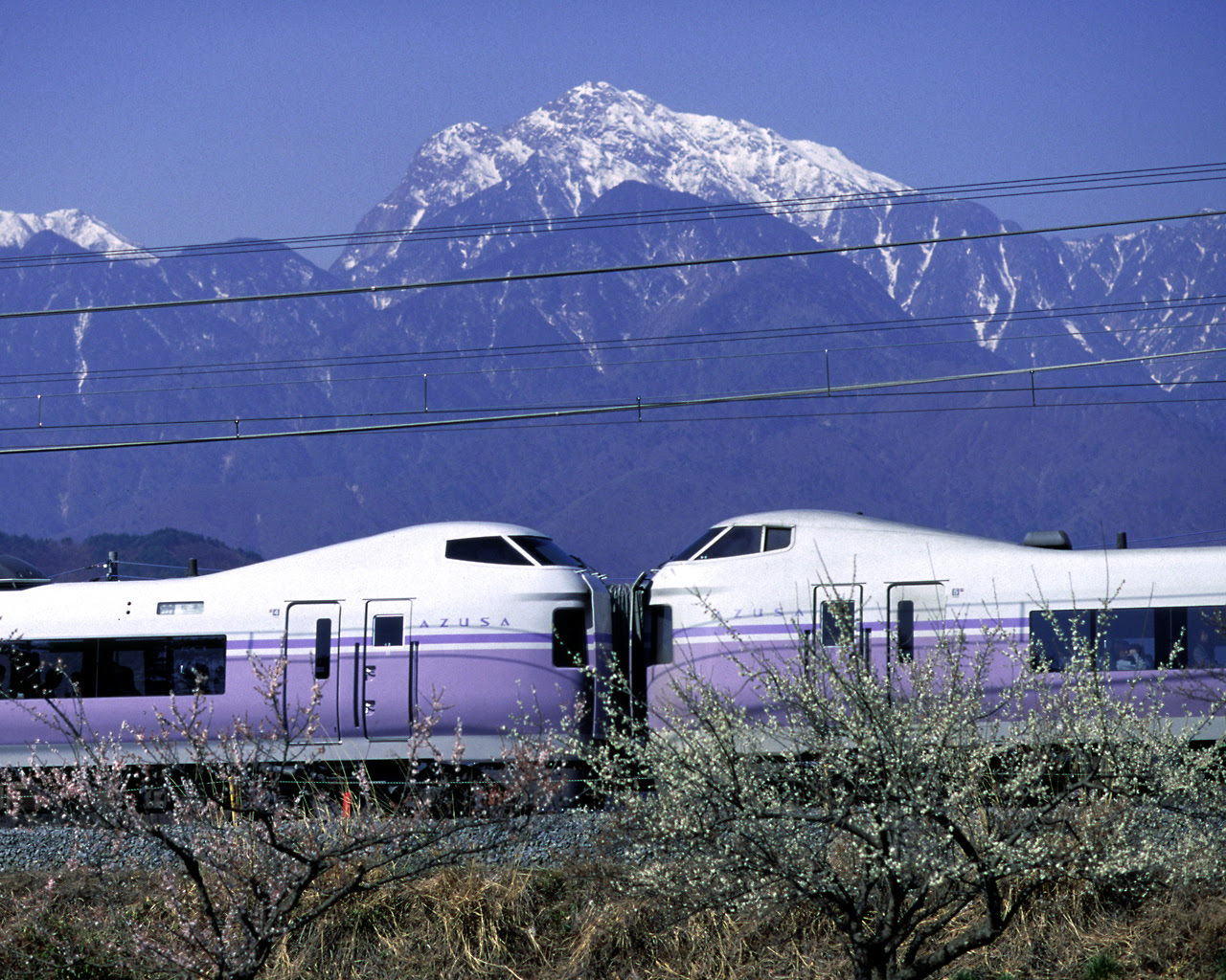 壁紙プレゼント