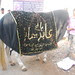 Zuljana  Athvi Amary Juloos Malad Malwani  2011