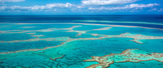 Great Barrier Reef Sediment