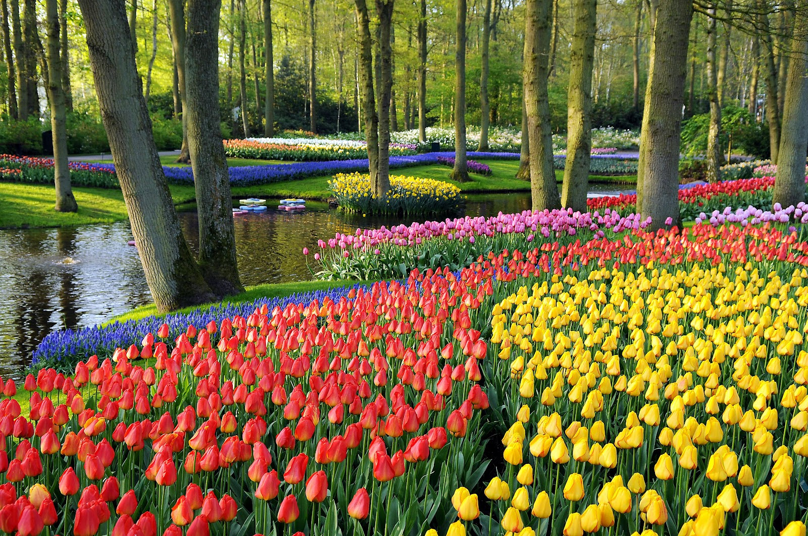 10 Tempat Wisata  di Belanda  yang Wajib Dikunjungi