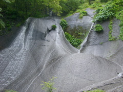 3746.jpg