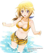 シャルロット デュノア 壁紙サイズのほしい絵 インフィニット ストラトス Pixiv年鑑 B
