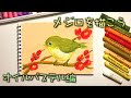 メジロ イラスト 簡単 283641-メジロ イラスト 簡単