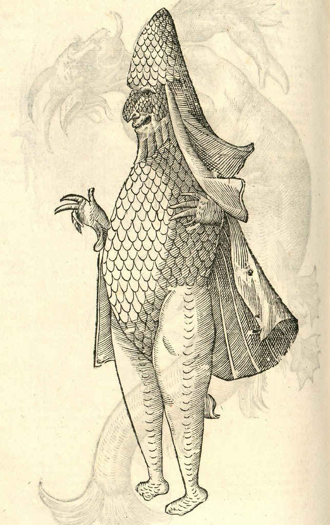 16th century woodcut of monster by Aldronvandi