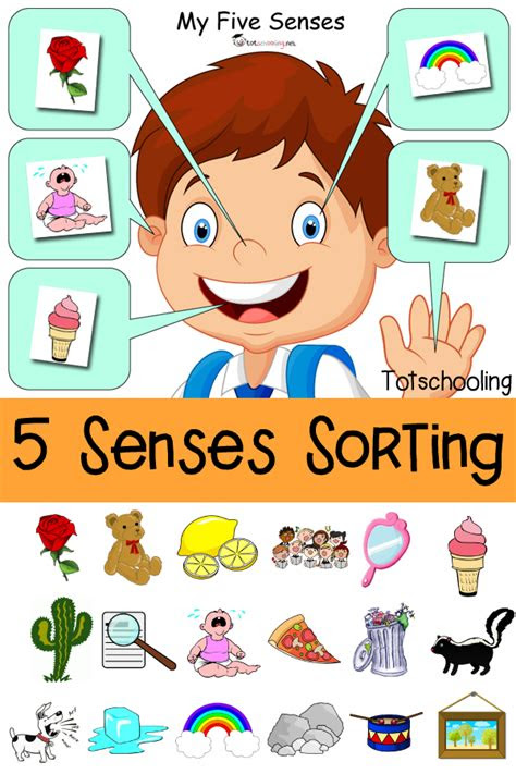  five senses sorting printable totschooling toddler preschool