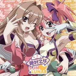 切る ためのアニメレビュー プロが本気で作ったギャグアニメ 瀬戸の花嫁