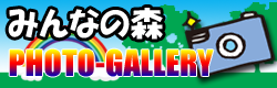 フォトギャラリー