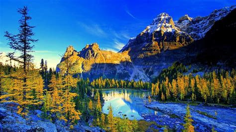 Make it easy with our tips on application. Lake Between Leafed Trees And White Covered Mountains