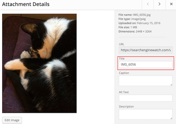 wordpress image title example of what not to do
