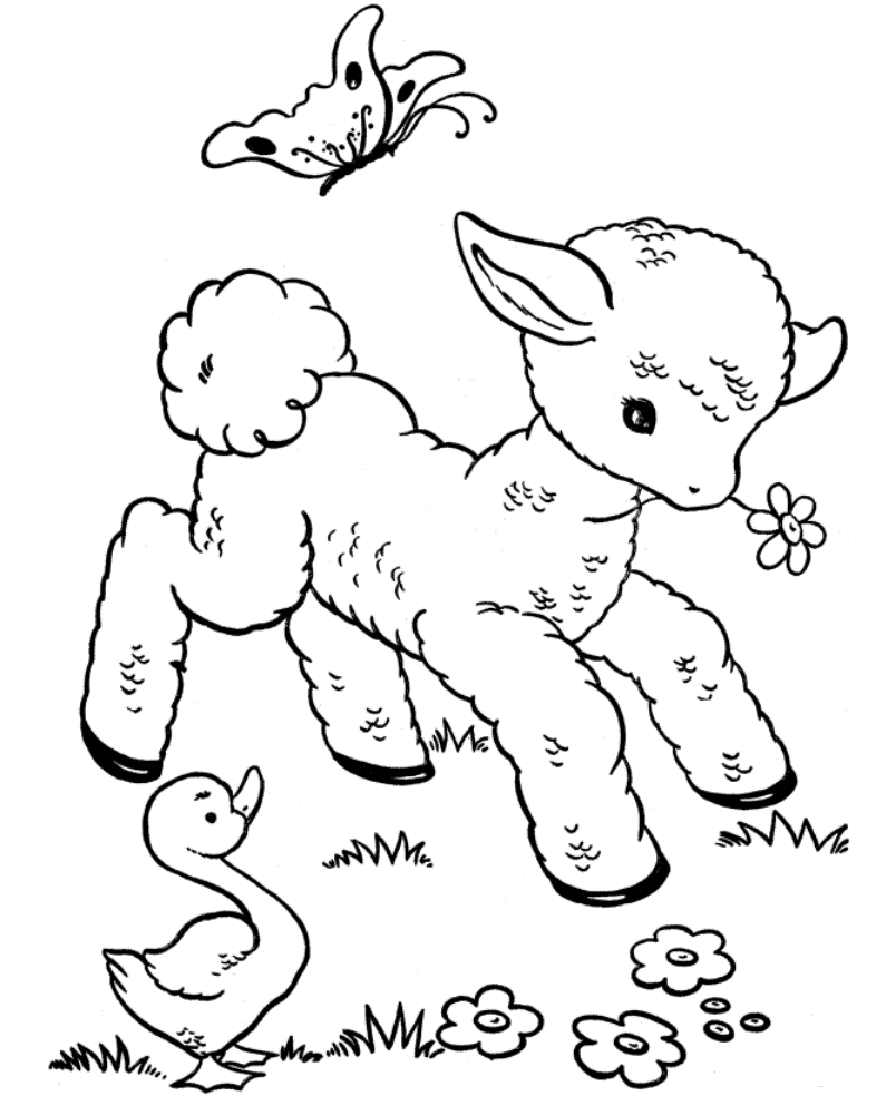 All animals coloring pages