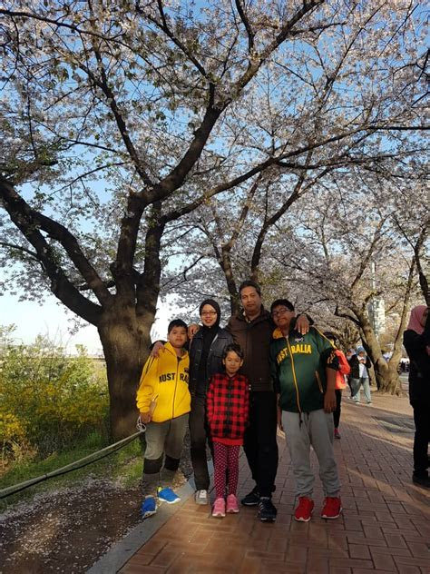 travelog masni  musim bunga  korea