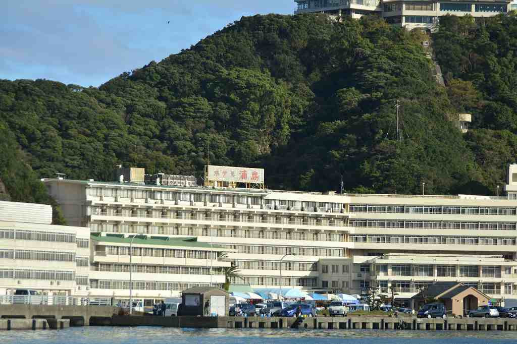 南紀勝浦温泉ホテル浦島 ケンさんの探鳥記