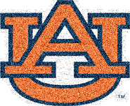 Glitterized by flmnetwork.com