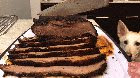 [Homemade] Juicy Smoked Brisket