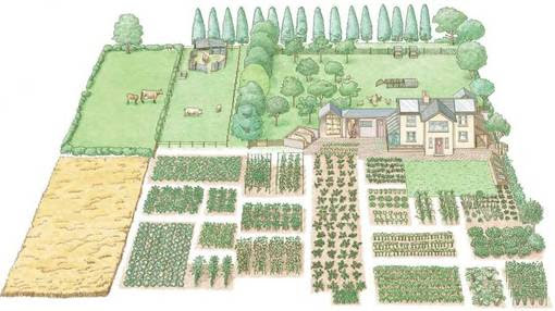 Your 1-acre homestead can be divided into land for raising livestock ...